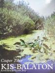 Kis-Balaton