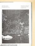 Early Wildlife Photographers