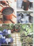 Carol Klein's Grow Your Own Veg Journal