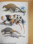 A Field Guide to the Mammals of Australia 