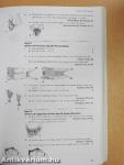 A Field Guide to the Mammals of Australia 