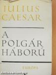 A polgárháború