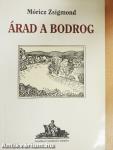 Árad a Bodrog