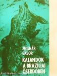 Kalandok a brazíliai őserdőben