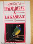 Díszmadarak a lakásban