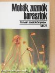 Mohák, zuzmók, harasztok
