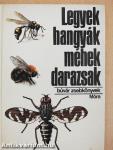 Legyek, hangyák, méhek, darazsak