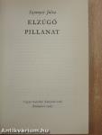 Elzúgó pillanat