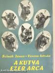 A kutya ezer arca