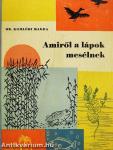 Amiről a lápok mesélnek