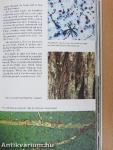 Collins Guide to Animal Tracks and Signs