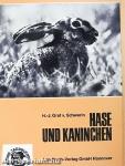 Hase und Kaninchen