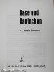 Hase und Kaninchen