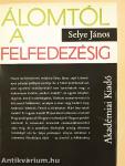 Álomtól a felfedezésig