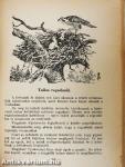 A vadon élete