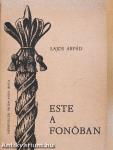 Este a fonóban