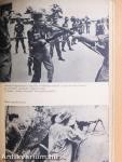 Dzsungelháború Dél-Vietnamban