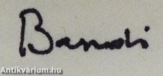 Hattyú az udvar fölött (dedikált példány)