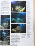 Diving Guide to the Red Sea Wrecks