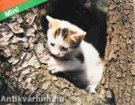 Mini (minikönyv)