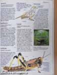 A természet kisenciklopédiája