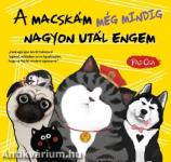 A macskám még mindig nagyon utál engem