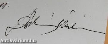 Diákvér/Az úrilány lovagja (dedikált példány)