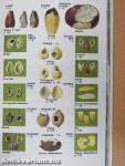 Guide des traces d'animaux