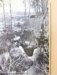 Virágkalendárium 1968