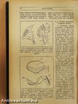 Természettudományi Közlöny 1921. január-december/Pótfüzetek a Természettudományi Közlönyhöz 1921. január-december