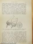 Természettudományi Közlöny 1898. január-december/Pótfüzetek a Természettudományi Közlönyhöz 1898. január-december