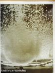 Secrets of a Good Digestion