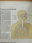 Coping with the Common Cold