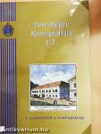 Pest Megye Monográfiája I/1.
