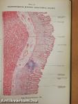 An Atlas of Human Histology