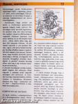 Országjárás autóval, motorral 6.