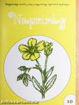 Napvirág 10.