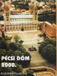Pécsi Szemle 2001. tavasz - különnyomat
