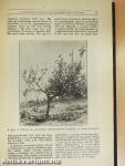 Természettudományi Közlöny 1934. január-december/Pótfüzetek a Természettudományi Közlönyhöz 1934. január-december