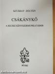 Csákánykő