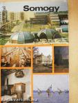 Somogy