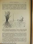 Természettudományi Közlöny 1938. január-december/Pótfüzetek a Természettudományi Közlönyhöz 1938. január-december