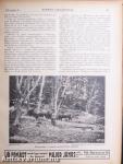 Nimród Vadászujság 1927. január-december