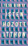 Isten hozott itthon