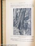Természettudományi Közlöny 1913. január-december 