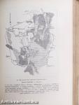 Természettudományi Közlöny 1893. január-december/Pótfüzetek a Természettudományi Közlönyhöz 1893. január-december