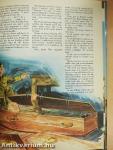 Dad's Army Annual 1975