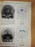 Wissenschaftliche Tabellen 1953