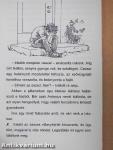 A hárpia nagynéni