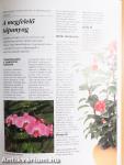 Szobanövények kézikönyve